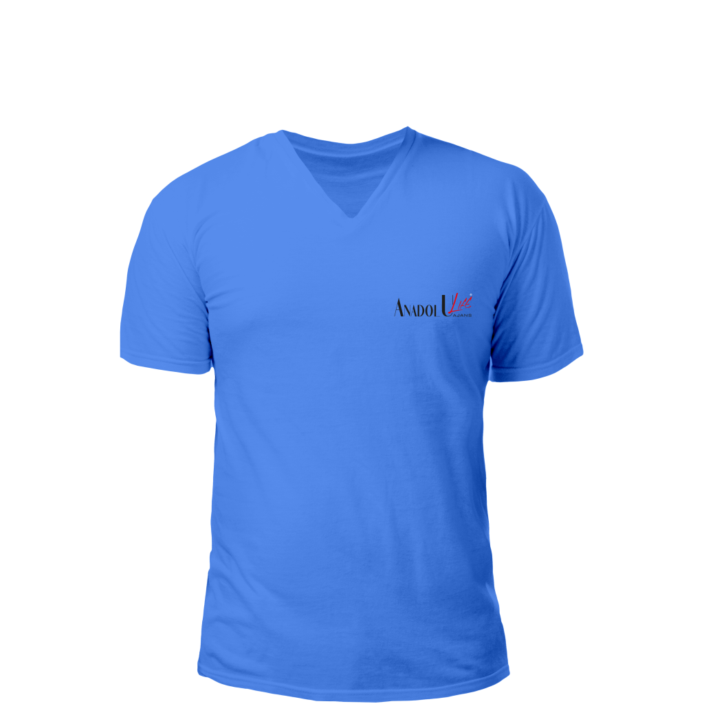 V Yaka T-Shirt Mavi